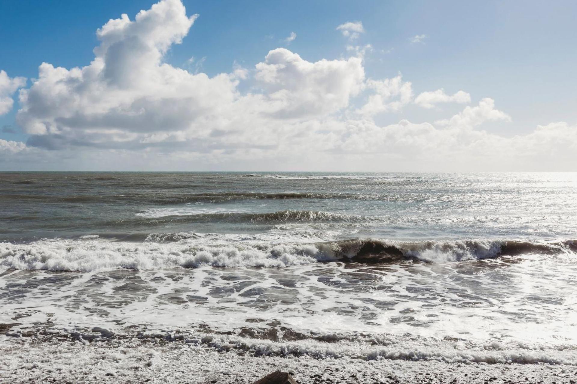 Te Moana Waterfront Lejlighed New Plymouth Eksteriør billede